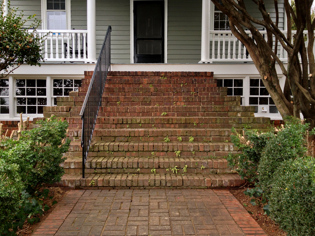 entry steps