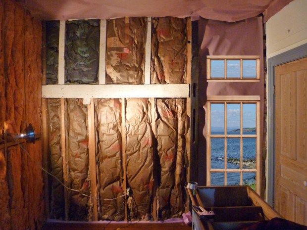 backyard window